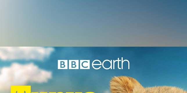 Tunya the Lion Prince