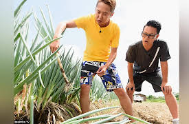 Dining Al Fresco: Summer Green Onions
