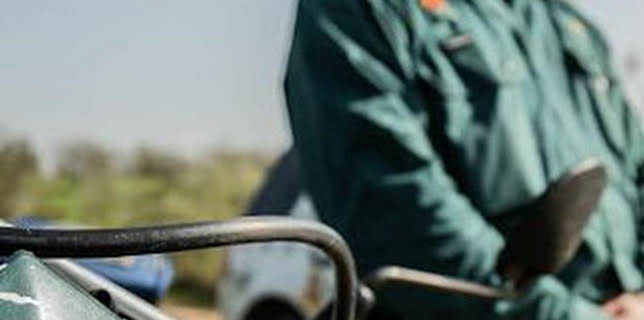 07:30: Seprona en acción: Episodio 9 | Discovery Max | 1/28 2026