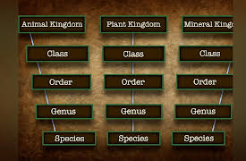 Introduction to Paleontology: Taxonomy: The Order of Life