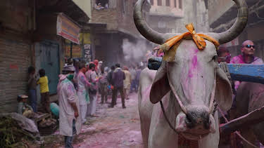 05:00: Legendary Locations  (S1 E13) (S1) | Discovery Science | 12/29 2025