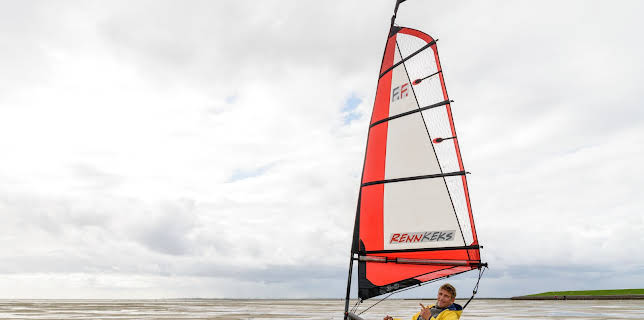 08:10: Löwenzahn | ZDF | 2/8 2026