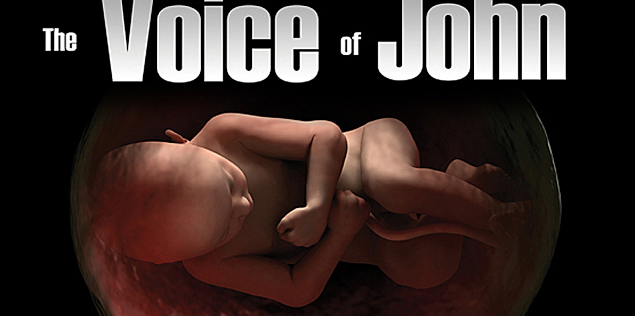 The Voice of John, one small voice will speak for millions (2013)
