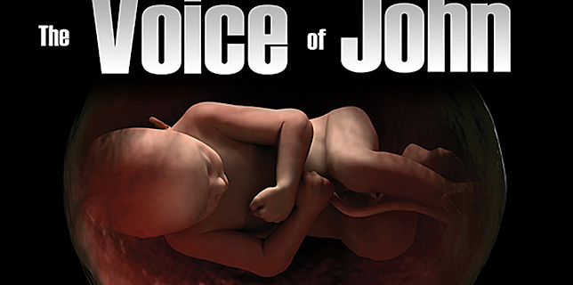 The Voice of John, one small voice will speak for millions (2013)
