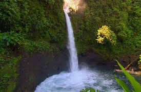 discovery+ Immersions, Season 1: Cloudforest Waterfall