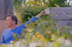 Real Rob: The Penis Episode: del 1