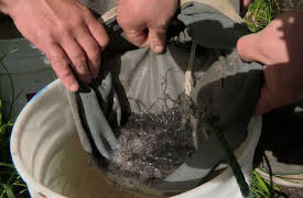 Cold River Cash Season 1: Cashed Out