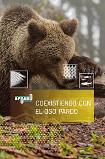 03:40: A fondo: Coexistiendo con el oso pardo | Caza y Pesca | 10/12 2026