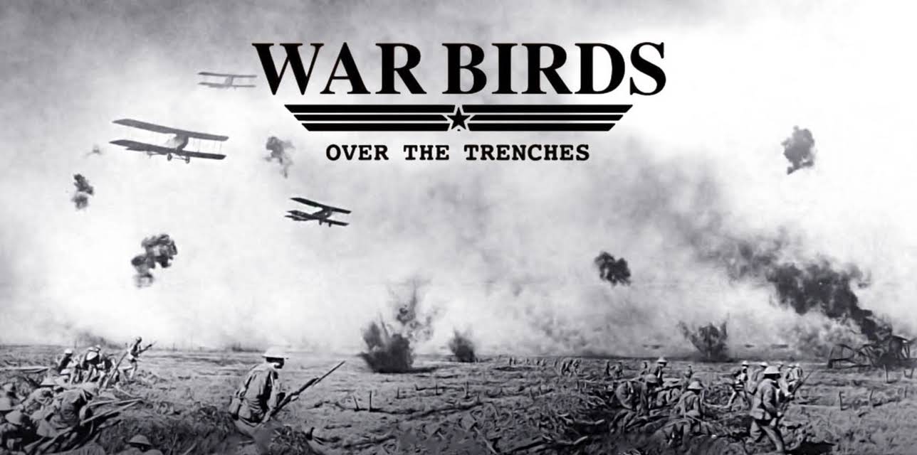 Warbirds Over the Trenches
