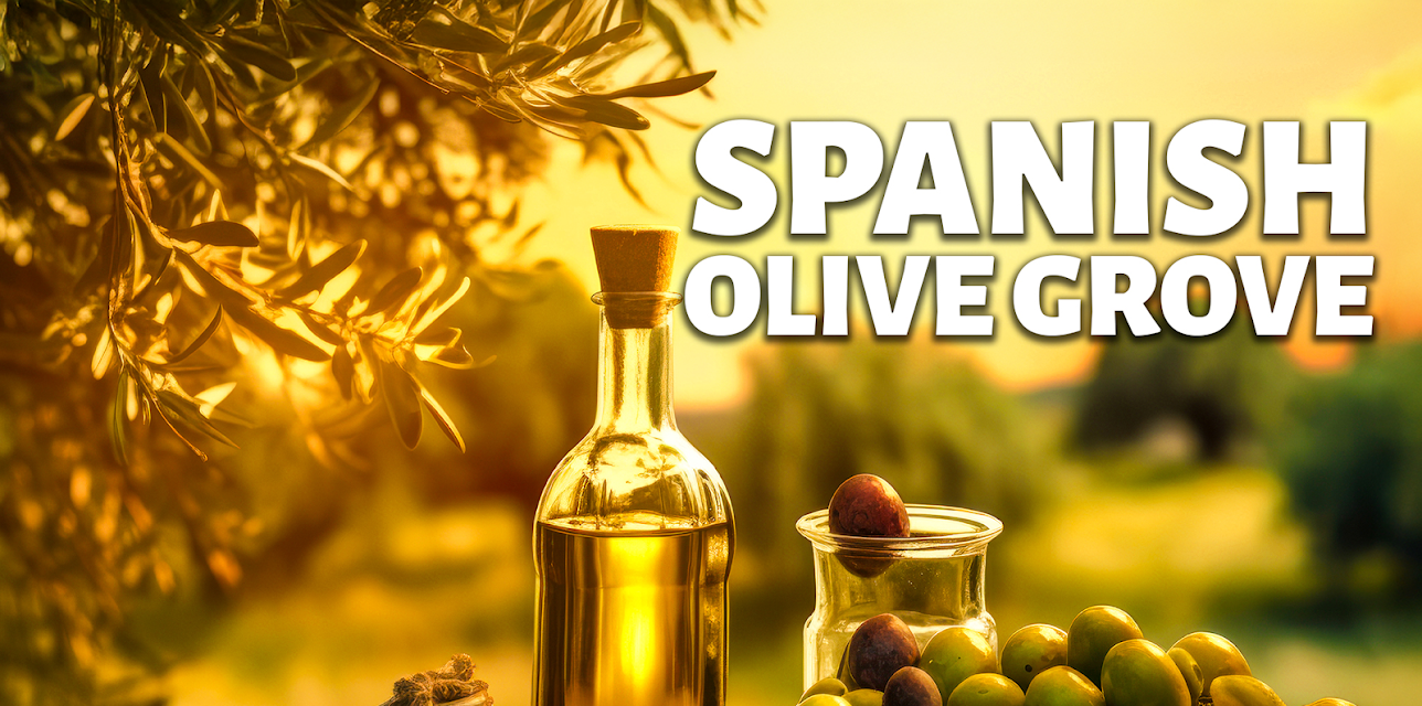 Spanish Olive Grove (2024)