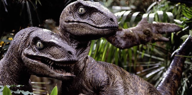 11:10 PM: Jurassic Park | Sky Hits | 2/22 2026