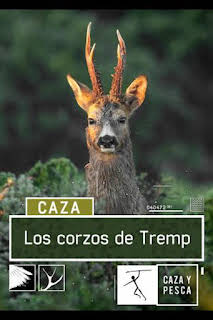 04:49: Los corzos de Tremp | Caza y Pesca | 4/6 2026