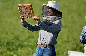 Ranch to Table: Springtime on the Ranch