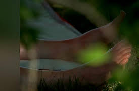 Sunshine Slayings: Carol