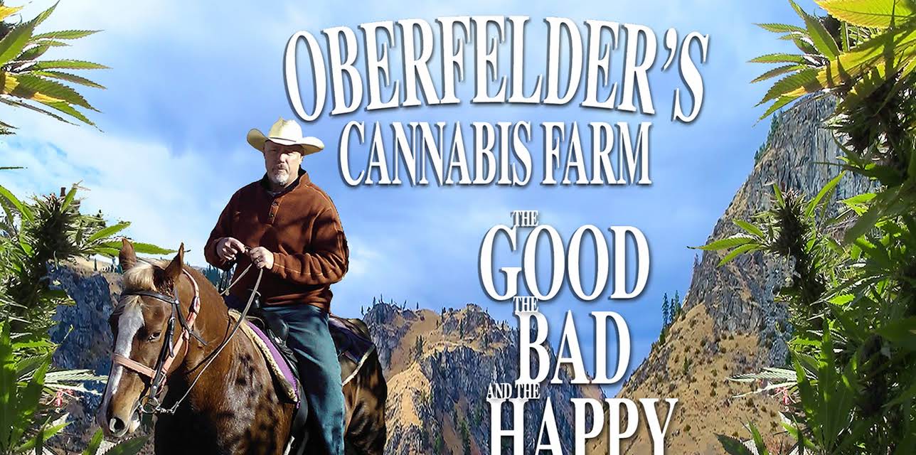 Oberfelder's Cannabis Farm, the Good, the Bad and the Happy (2018)