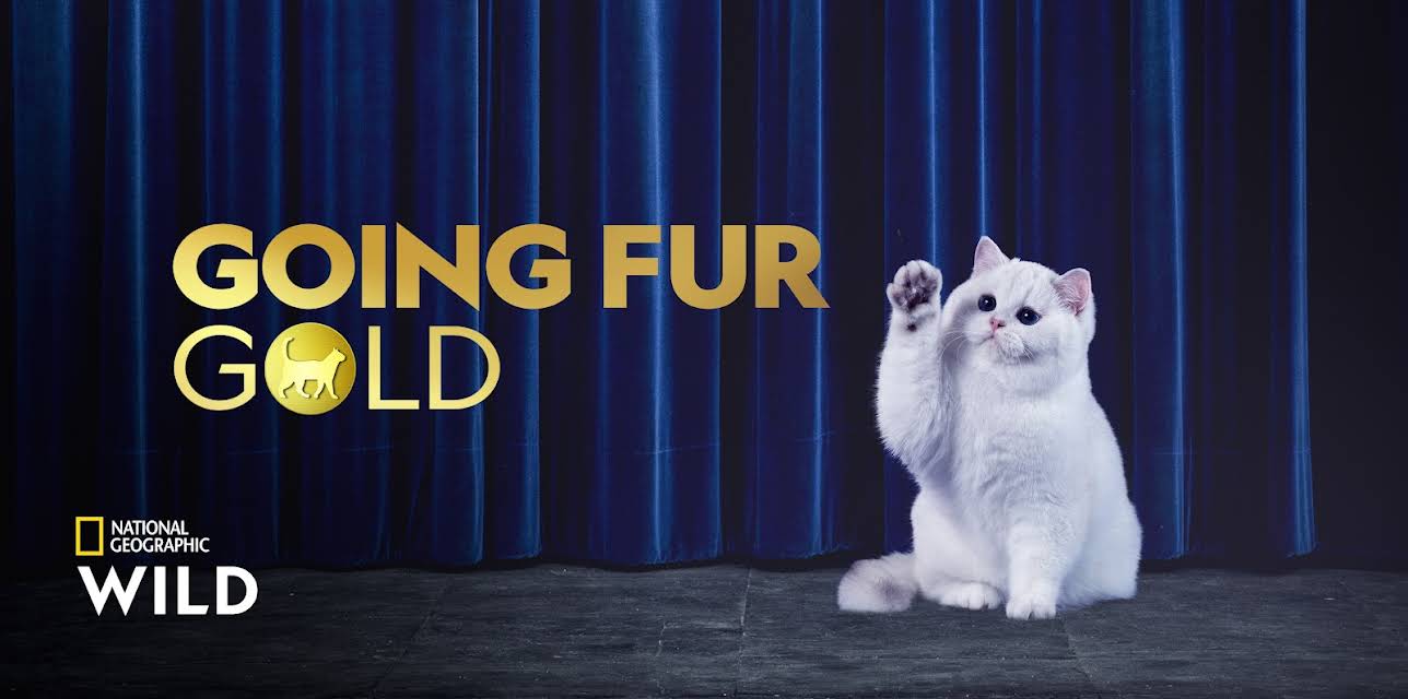 Going Fur Gold