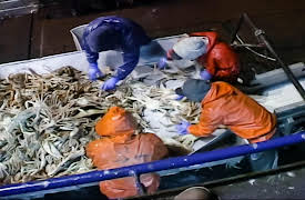 Deadliest Catch Season 1: The Clock's Ticking