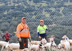 Lances monteros en Toledo