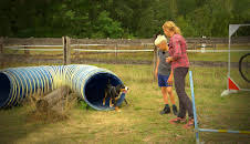 Liebste Fellnasen - Abenteuer Hundeschule