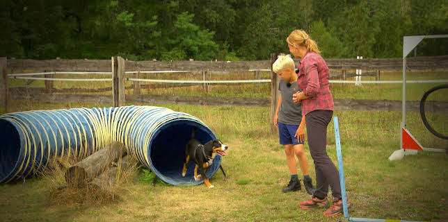06:25: Liebste Fellnasen - Abenteuer Hundeschule | Das Erste | 2/7 2026