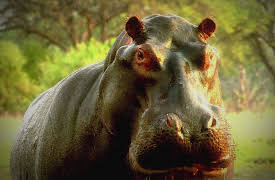 Mysteries Unearthed with Danny Trejo Season 1: Beastly Revelations