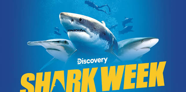 Shark Week 2021 D+ Trailer