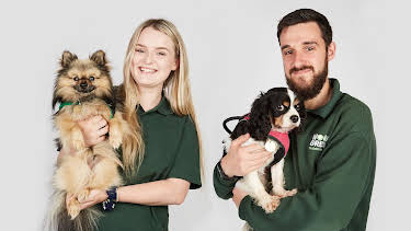 7:55 PM: The Dog House | More 4 | 9/23 2026