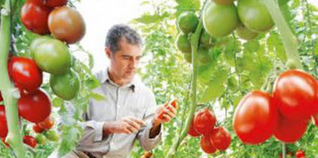 23:15: Diario del campo | 7 TV Región Murcia | 12/8 2025