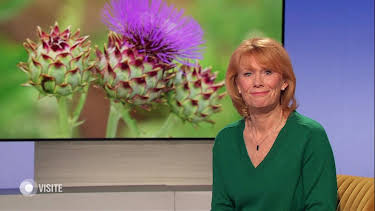 21:00: Visite | HR Fernsehen | 10/15 2026