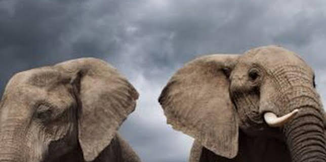 16:45: Life Story: Primeros pasos | La Otra | 1/30 2026