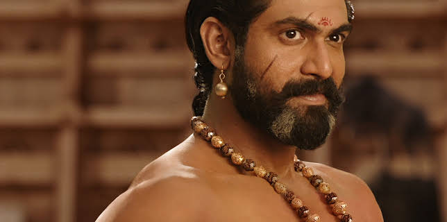 Baahubali: The Beginning (Hindi Version) (2015)