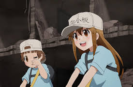 Season 1: Scrape Wound