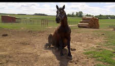 El increíble doctor Pol: Las desgracias nunca vienen solas