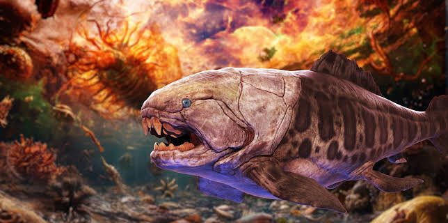 20:15: Katastrophen der Erdgeschichte | ZDFinfo | 11/26 2025