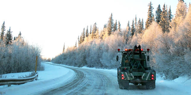 12:00 PM: Arctic Rescue (S1 E2) (S1) | Discovery Science | 11/21 2025