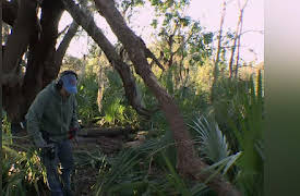 Diggers Season 1: Pirate Booty