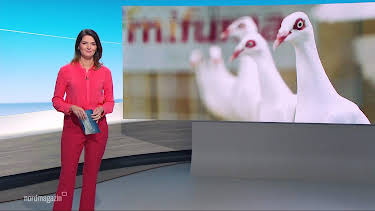 09:00: Nordmagazin | Radio Bremen | 10/19 2026