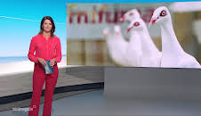 Nordmagazin