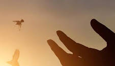 Misioneros por el mundo