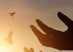 Misioneros por el mundo