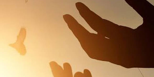 08:30: Misioneros por el mundo | 13 TV | 12/13 2025