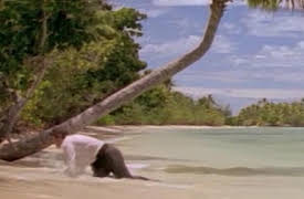 The Adventures of Swiss Family Robinson: Invasion Part 2