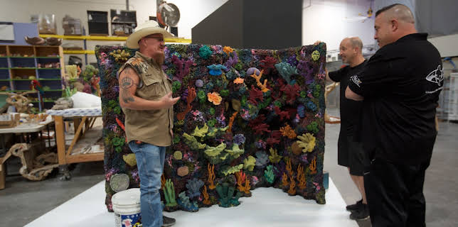 20:00: Akvariedesignerne (S6 E17) (S6) | Animal Planet | 11/23 2025