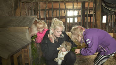 07:00: Unga Mammor (S5 E5) (S5) | TV3 | 4/25 2026