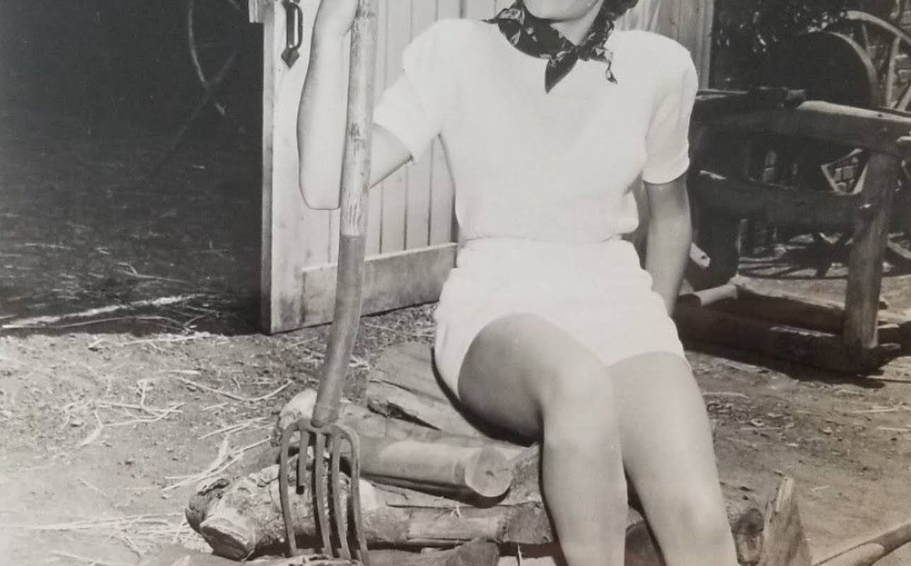 Marcia Van Dyke