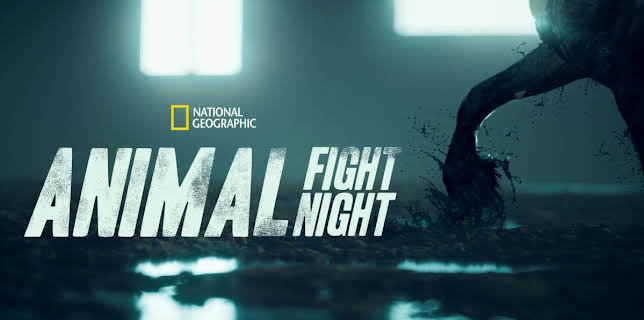 Animal Fight Night