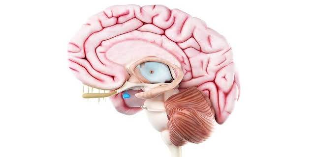 11:40: aktiv und gesund | SWR Fernsehen RP | 3/13 2026