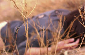 Dead of Night Season 1: Blood Never Lies