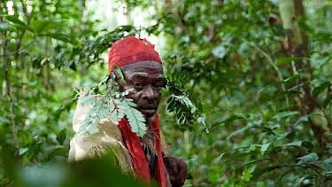 10:55: Die Hüter des Waldes (2/5) | Arte | 3/29 2026