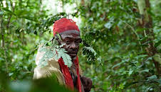 Die Hüter des Waldes (2/5)